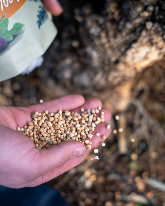 Mediterraner Langzeitdünger - Kitzinger (0,7 kg)