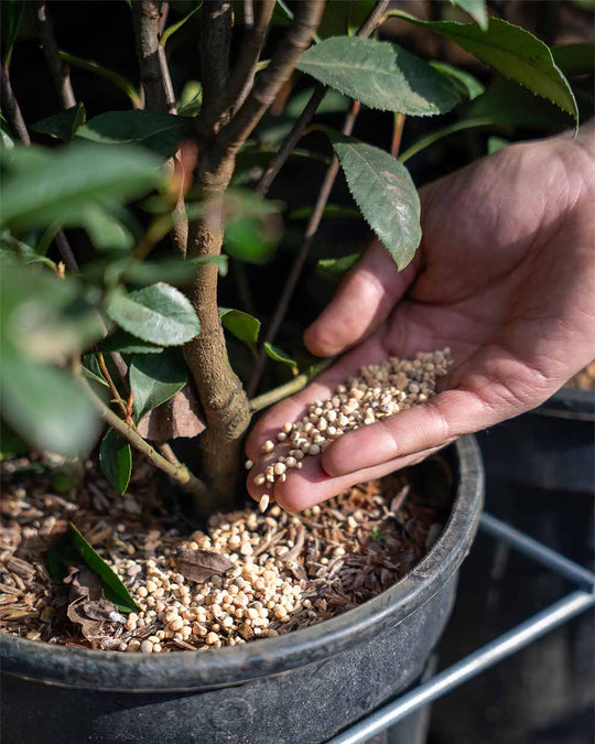 Universeller Langzeitdünger - Kitzinger (0,7 kg)