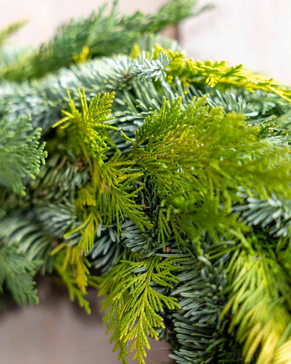 Adventskranz – Nobilistanne Mix